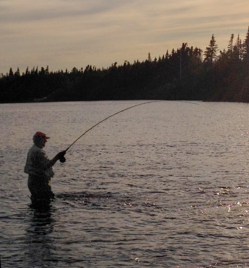 79 year old Mr. Tipple who has been fishing River of Ponds since 1961 is seen spending a quite solitary evening fishing the River last week at the out flow of the first pond on the system. There are nine such ponds on this system... Hence the name... River of Ponds.