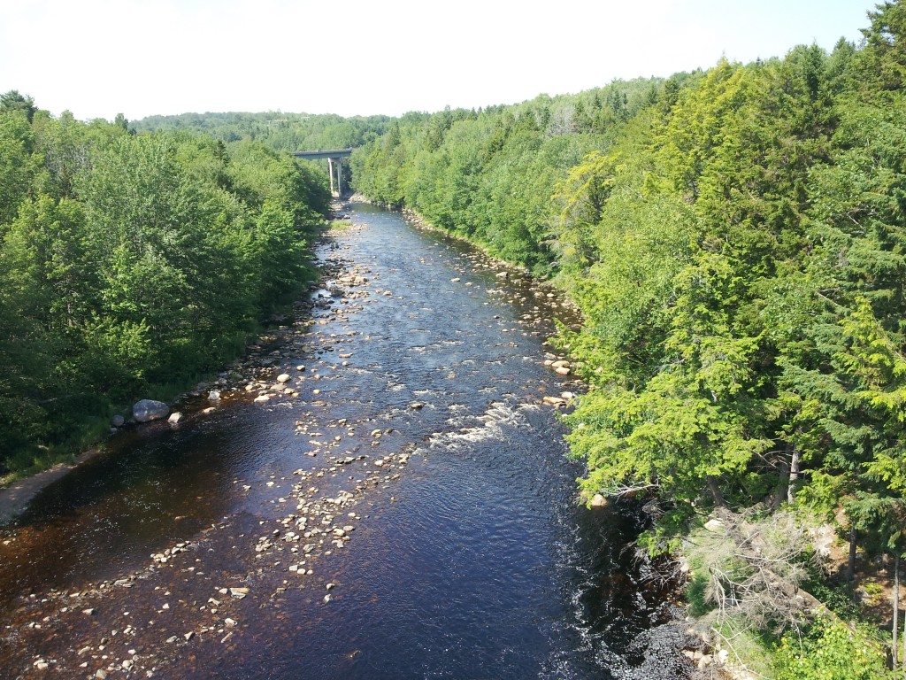 Water levels are up slightly on the Gold River, however NS did not receive Arthur's heavy rainfall. Note: The Gold River is not open to salmon angling. Photo credit: Lewis Hinks