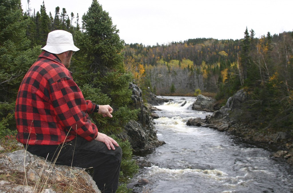 Exploits River numbers are down this year. Yet the river's salmon runs are one of North America's greatest success stories. Photo Fred Parsons