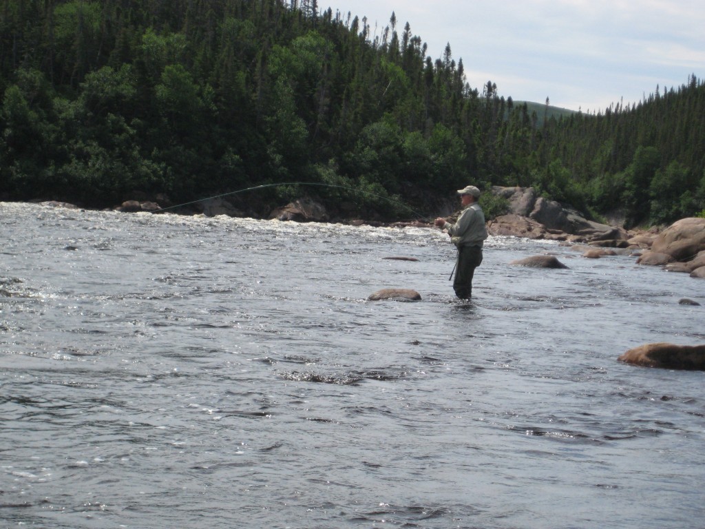 One of the Hanncock brothers with a 15 lb. fish at the Forks Pool on the Pinware River in July. To avoid stressing the fish he broke off the leader, as water temperatures were very much on the rise that morning. The brothers are from the community of Forteau. Photo Don Ivany/ASF