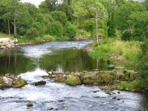The Drowes River has been subject to a number of enhancements over the past century, including the addition of gravel. Photo Tom Moffatt