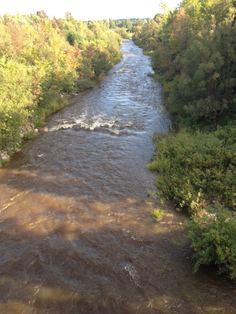 The James River looking downstream from the TC Highway bridge, on Monday evening. Note the digger log that provides a valuable riffle for river habitat. This structure was installed by the Antigonish Rivers Association and Habitat Unlimited. Photo Gerry Doucet